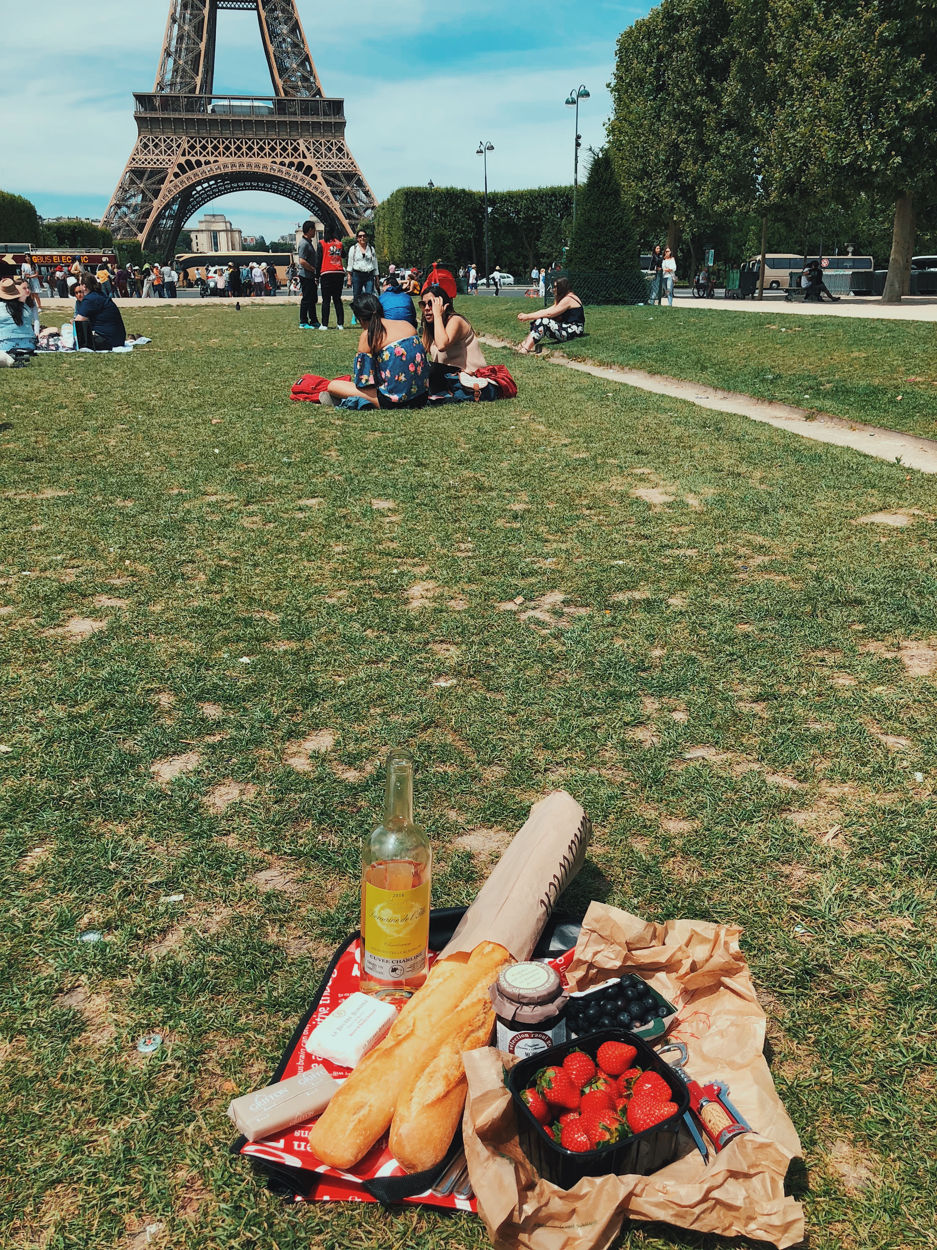 Baguette, Cheese, and Fruit by Eiffel Tower