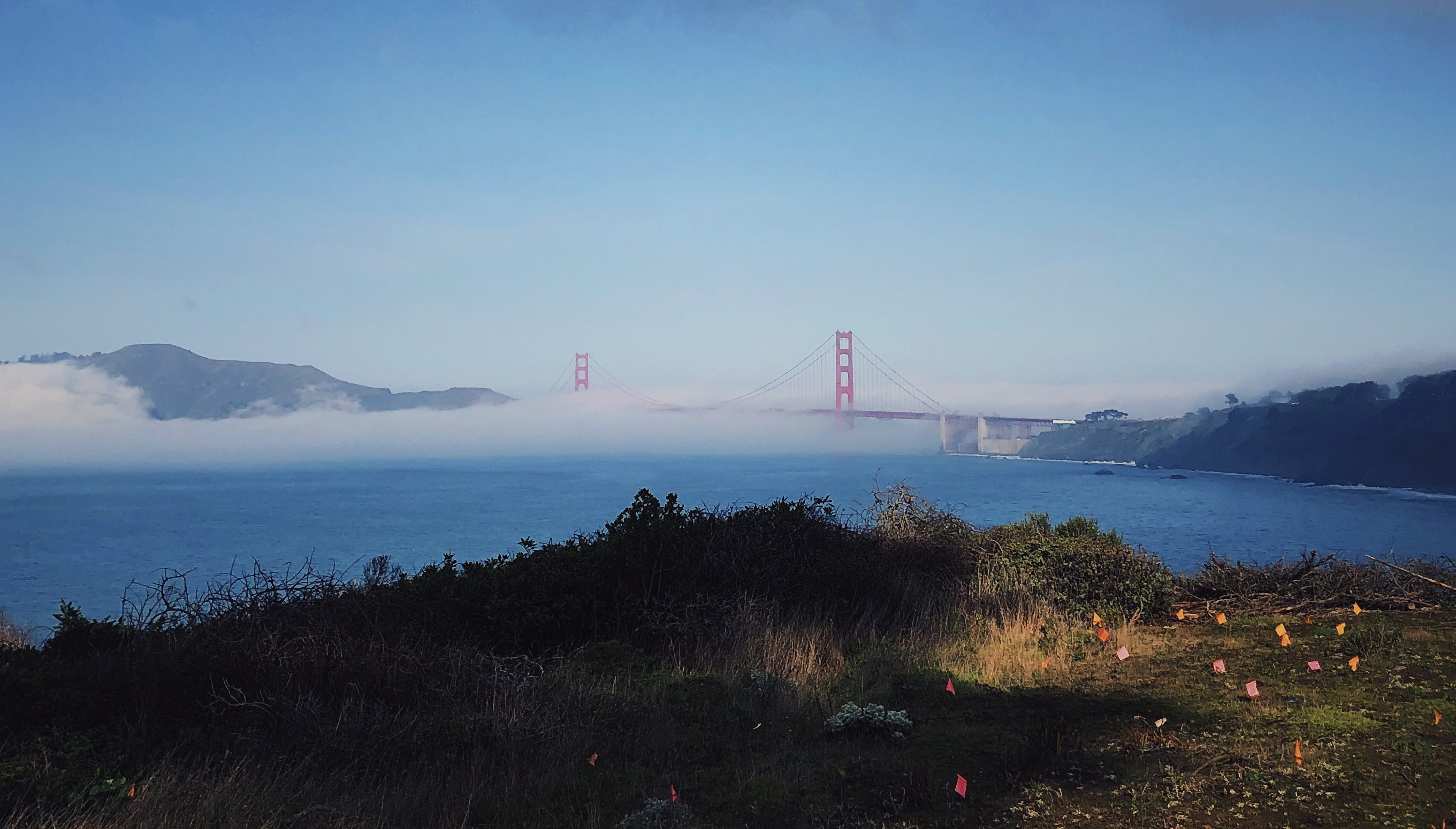 Vida at Golden Gate Bridge