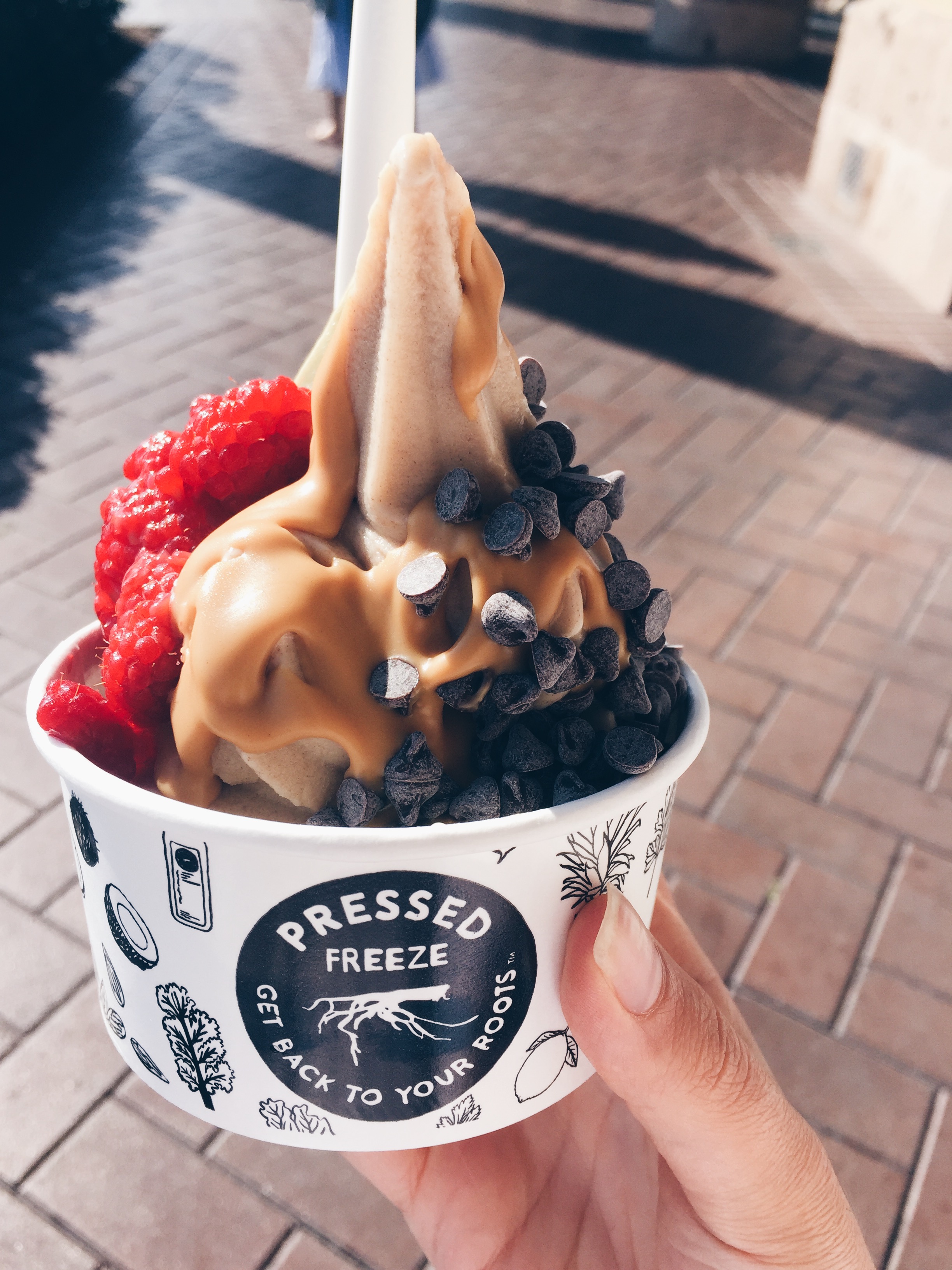 Vegan Frozen Yogurt